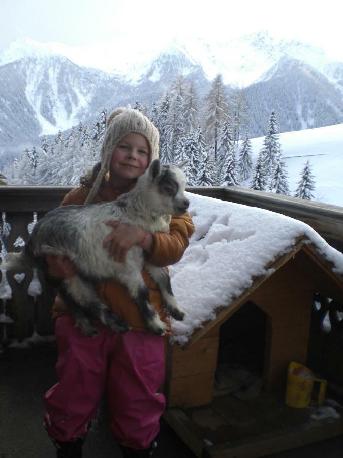 Chalet Niederhaushof Ultimo Dış mekan fotoğraf