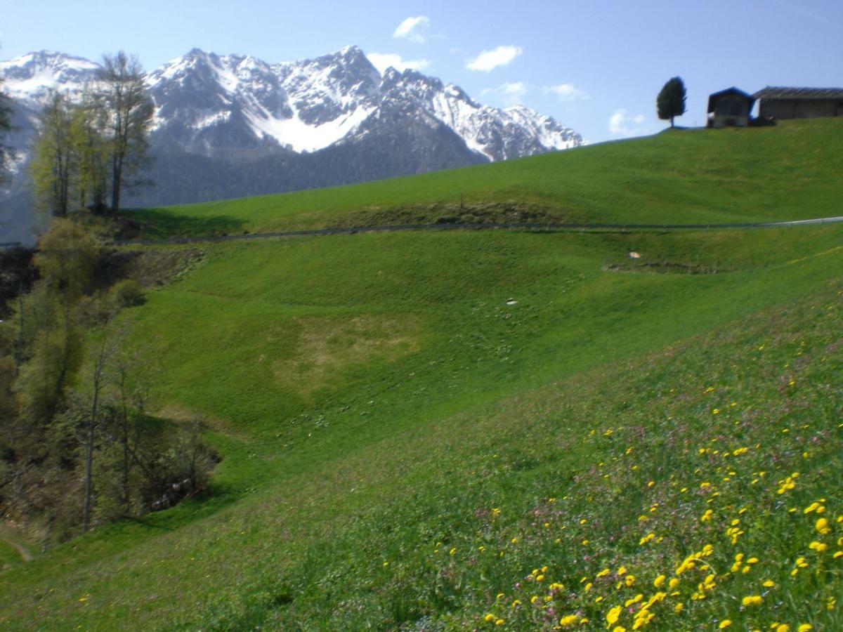 Chalet Niederhaushof Ultimo Dış mekan fotoğraf
