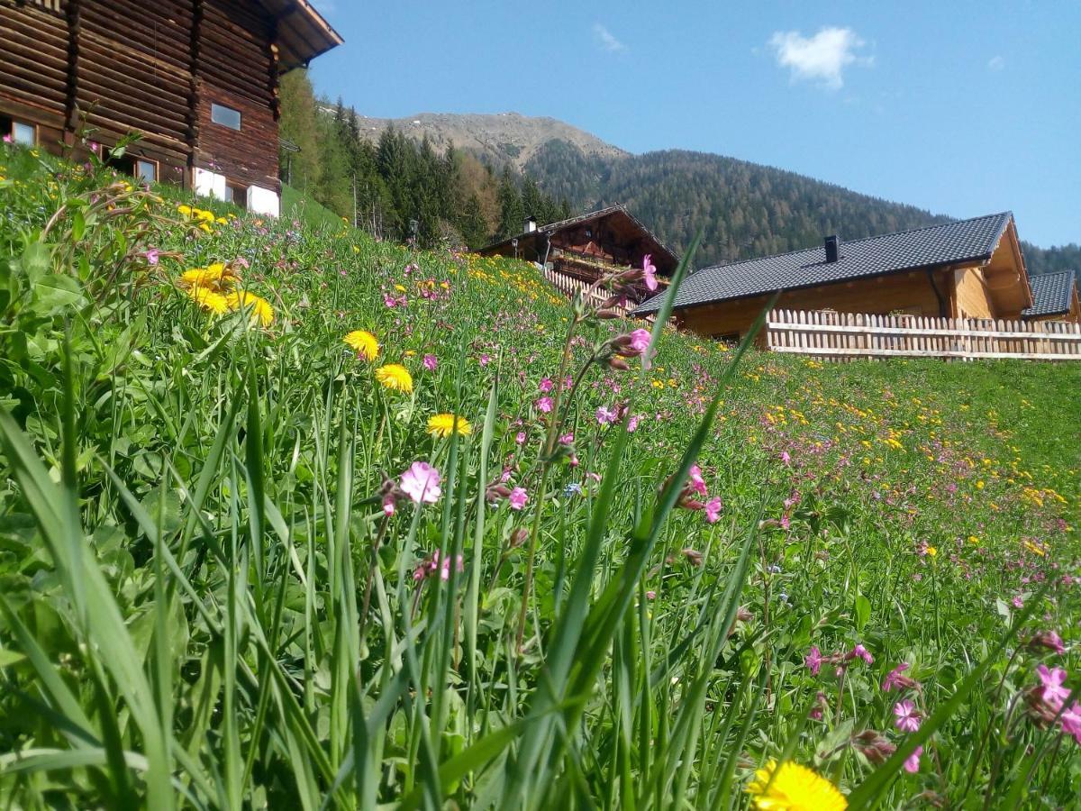 Chalet Niederhaushof Ultimo Dış mekan fotoğraf