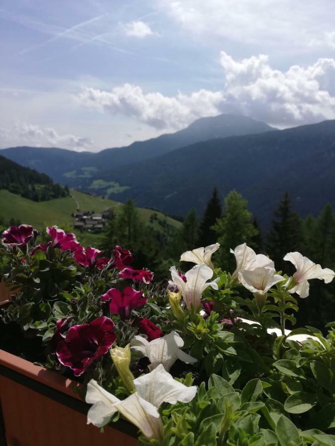 Chalet Niederhaushof Ultimo Dış mekan fotoğraf
