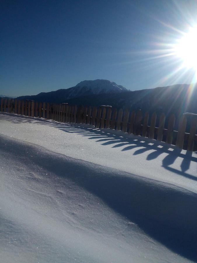 Chalet Niederhaushof Ultimo Dış mekan fotoğraf