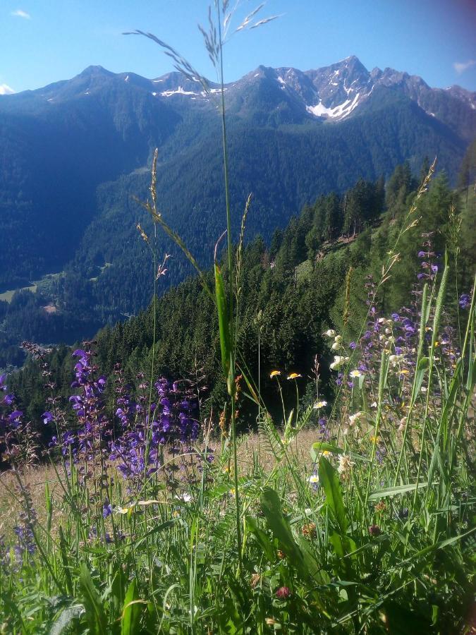 Chalet Niederhaushof Ultimo Dış mekan fotoğraf