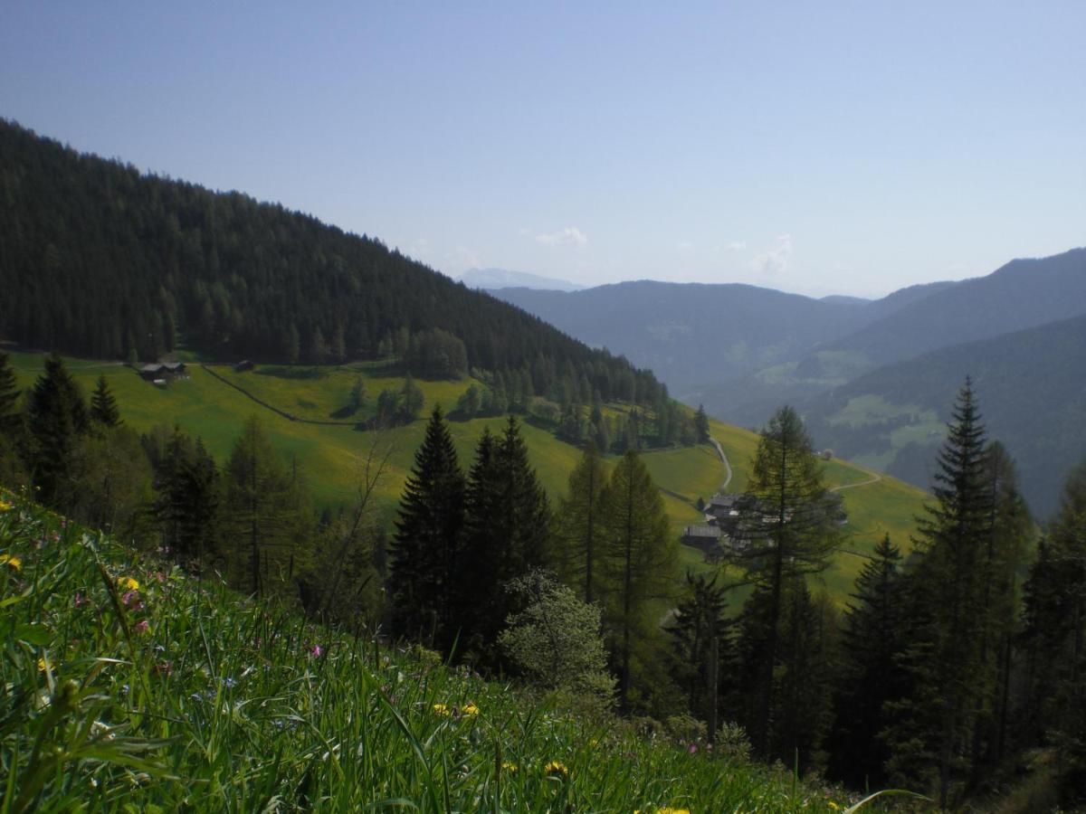 Chalet Niederhaushof Ultimo Dış mekan fotoğraf
