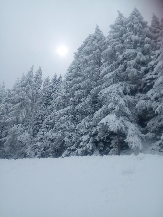 Chalet Niederhaushof Ultimo Dış mekan fotoğraf